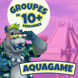 Aquagame Groupes 10+